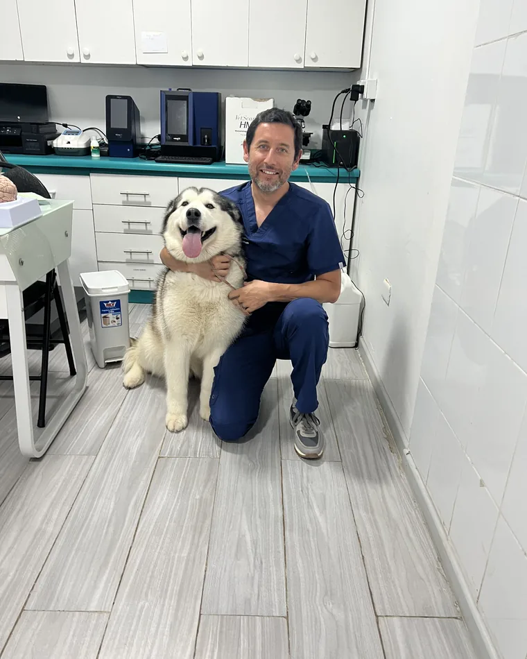 El Dr. Abarca junto a un paciente en la consulta de SurgyVet